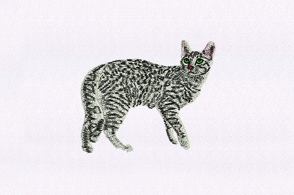 Black White Cat Design Review for Handmade Gifts