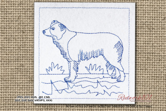 Border Collie Dog Design: A Seller's Review