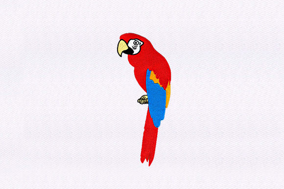 Macaw Bird Design: A Seasonal Embroidery Review