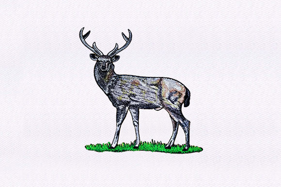 White Tailed Deer Design: A Designer's Review